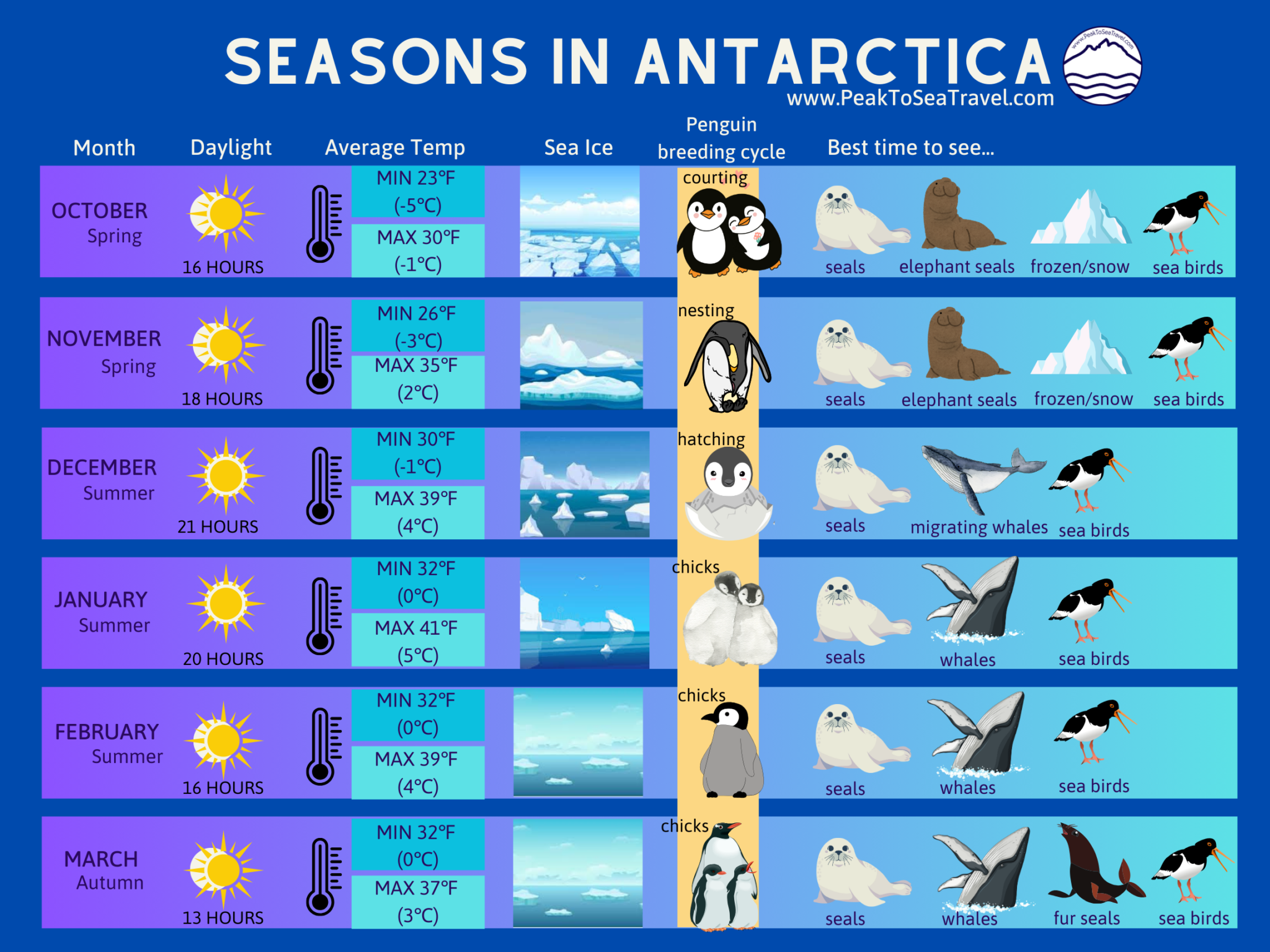 Antatica Time Changes When is the best time to travel to Antarctica? – Peak to Sea Travel ...